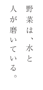 野菜は、水と人が磨いている。