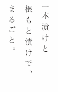 一本漬けと根もと漬けで、まるごと。